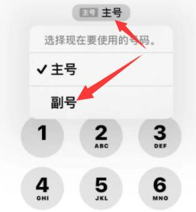 余江苹果14维修店分享iPhone 14 Pro Max使用副卡打电话的方法 