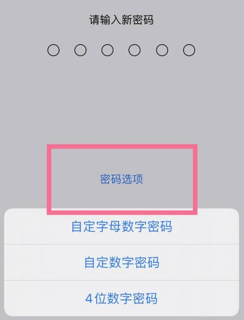 余江苹果14维修分享iPhone 14plus设置密码的方法 