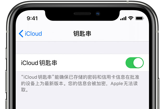 余江苹果手机维修分享在 iPhone 上开启 iCloud 钥匙串之后会储存哪些信息 